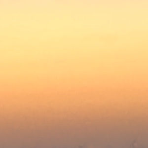 Meet your Posher, Jose